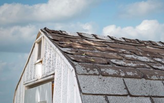 shed shingles