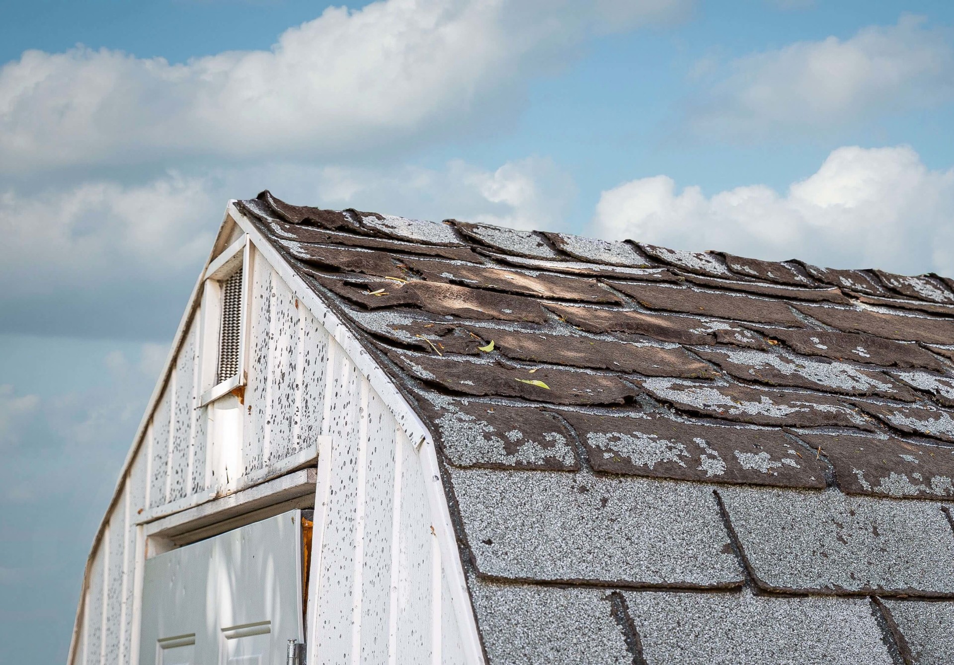 shed shingles