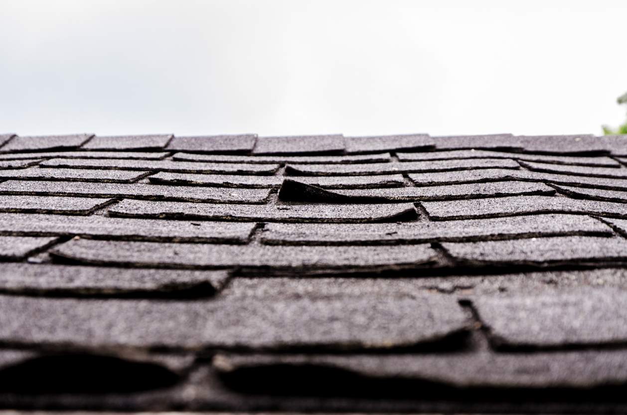 buckling shingles