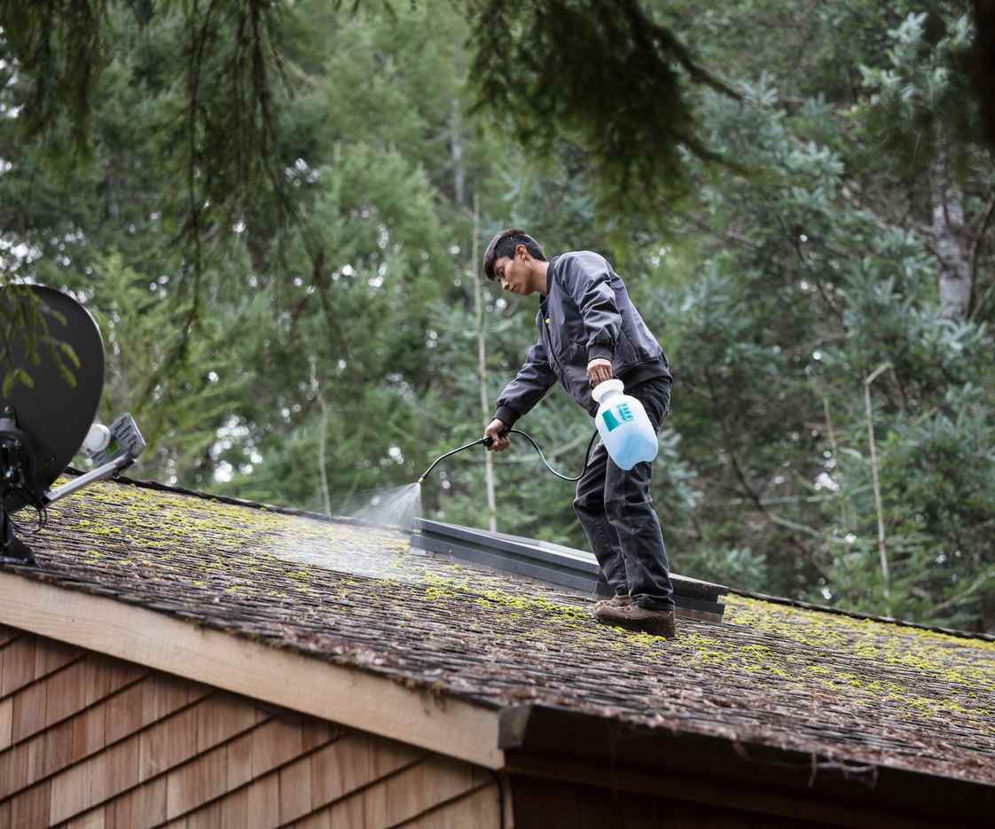 cleaning moss off roof