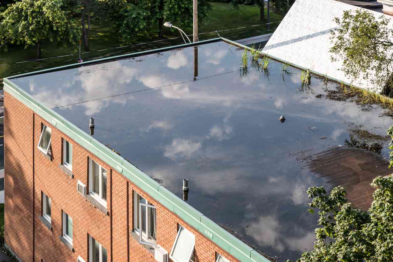 water pooling on flat roof